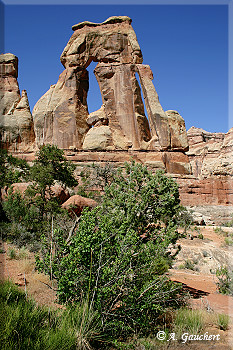 Druid Arch